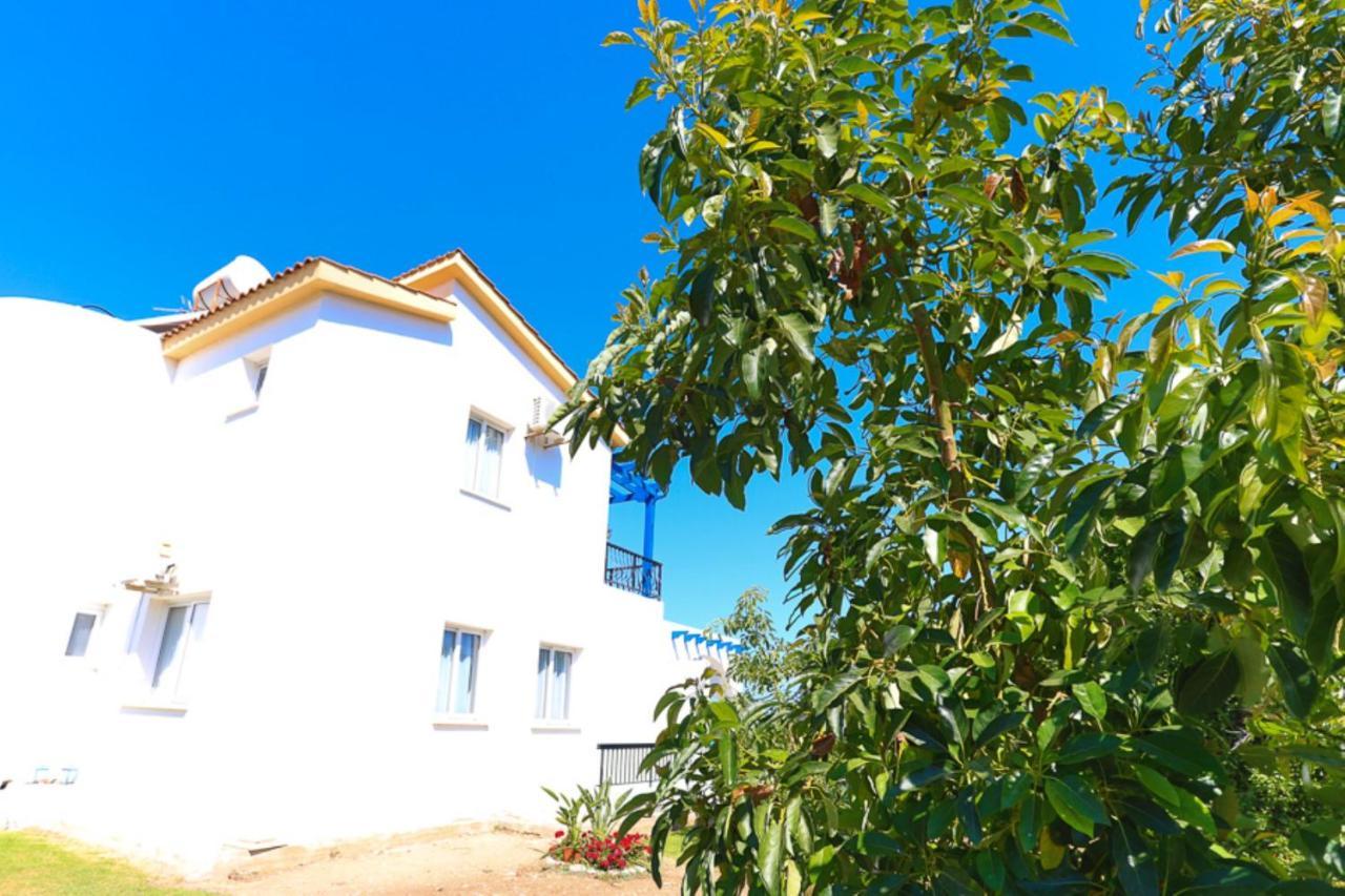 Lemon Grove Dio *